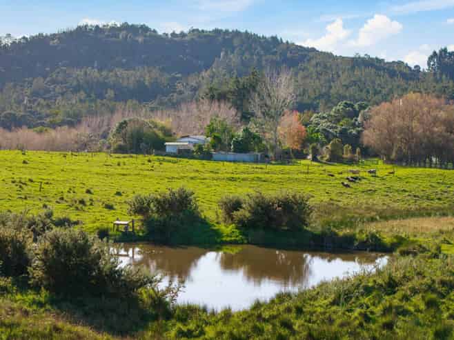 391 Pine Valley Road, Dairy Flat