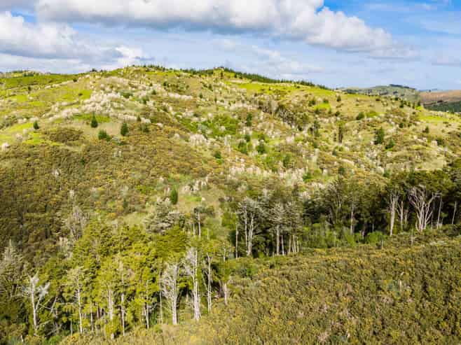 Lot 8/670 Bickerstaffe Road, Maungaturoto