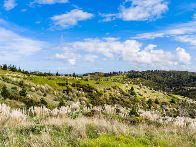 Lot 8/670 Bickerstaffe Road, Maungaturoto