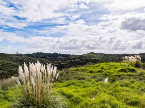 Lot 8/670 Bickerstaffe Road, Maungaturoto