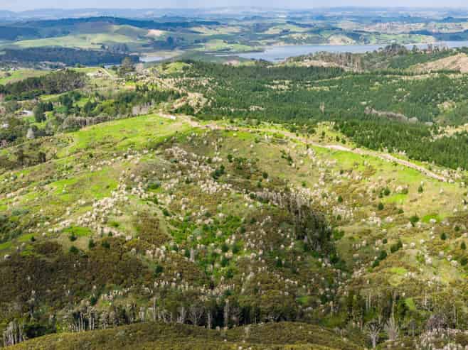 Lot 8/670 Bickerstaffe Road, Maungaturoto