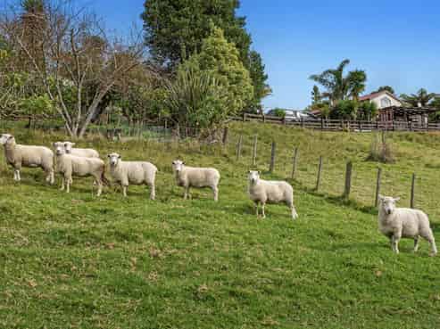 281 McCarthy Road, Opotiki