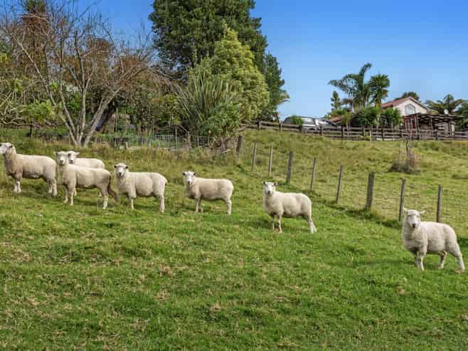 281 McCarthy Road, Opotiki