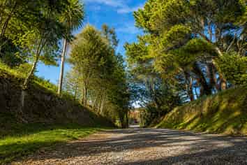 21 & 23 Atkinson Road, Titirangi