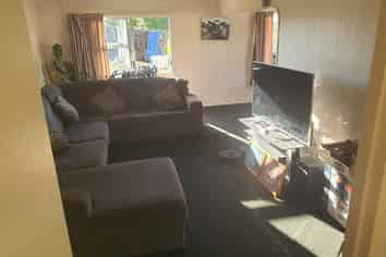 11 Gummer Place, Morrinsville