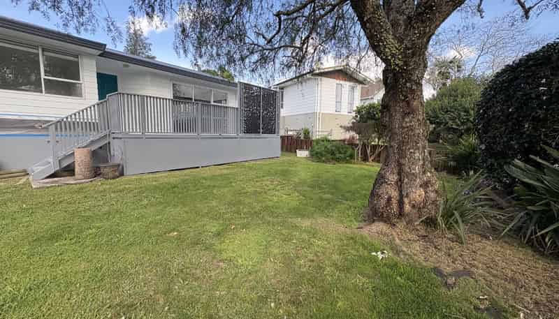 27 Blomfield Street , Nawton