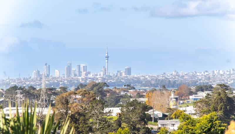 44 Chorley Avenue, Massey