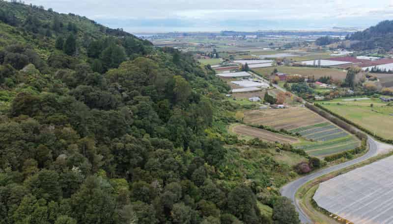 154a Takaka Hill Highway, Riwaka, Motueka