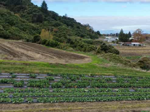154a Takaka Hill Highway, Riwaka, Motueka