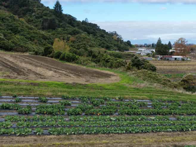 154a Takaka Hill Highway, Riwaka, Motueka