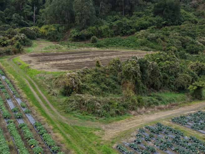 154a Takaka Hill Highway, Riwaka, Motueka