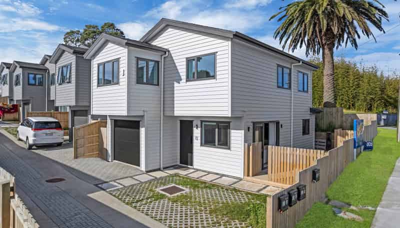 51A Ellis Avenue, Mount Roskill