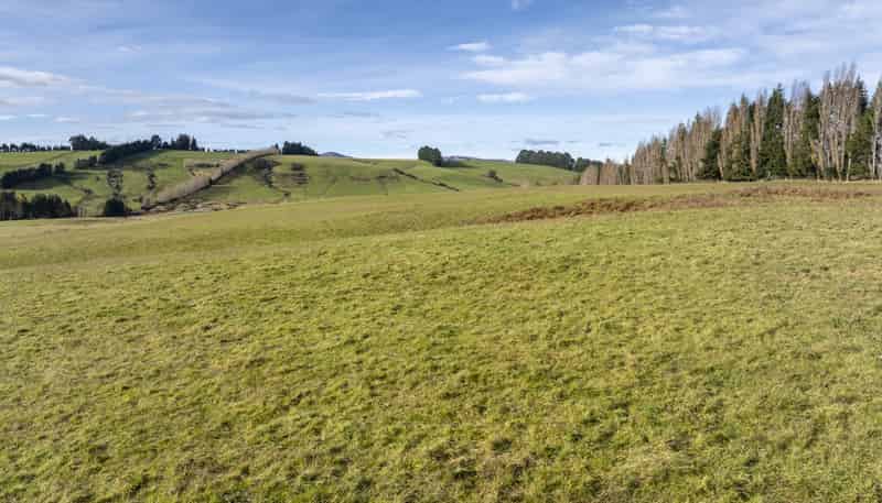 169 Lynwood Road, Te Anau