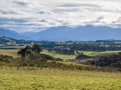 169 Lynwood Road, Te Anau