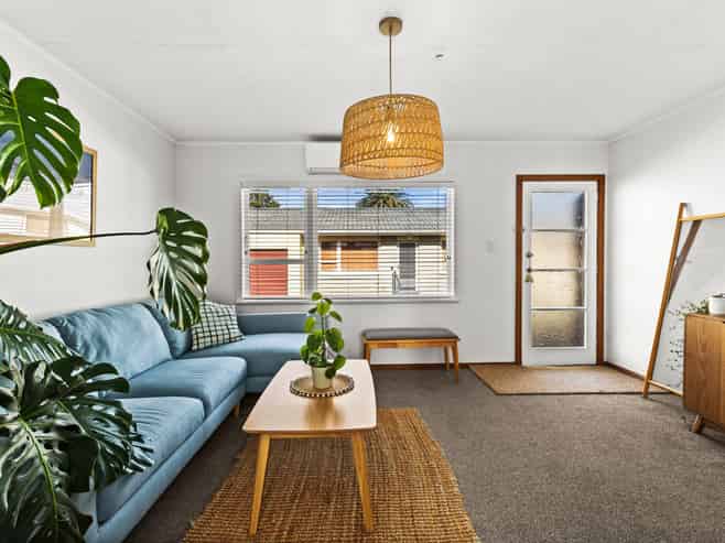 4/7 McGrath Street, Napier South