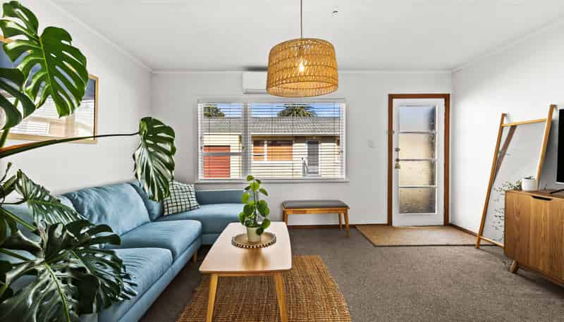 4/7 McGrath Street, Napier South