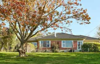 691 Pleasant Point Highway, Levels