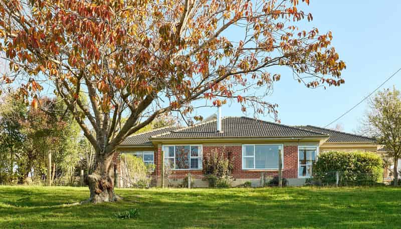 691 Pleasant Point Highway, Levels