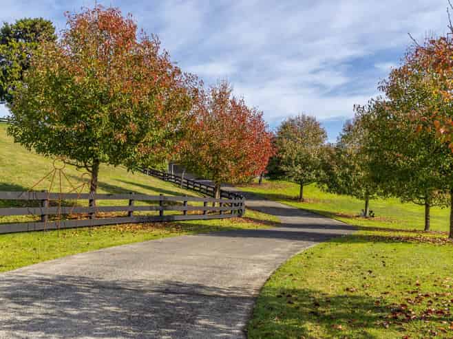 161B Mokoroa Valley Road, Waitakere