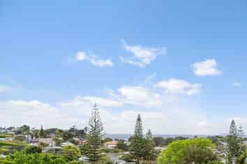 24B Homestead Road, Manly