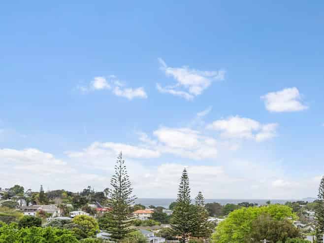 24B Homestead Road, Manly