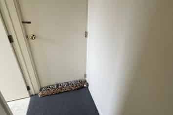 (Back Flat/22  Field Terrace, Upper Riccarton