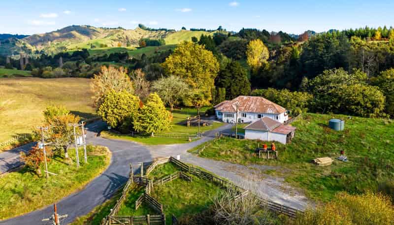 1190 Ohura Road, Matiere