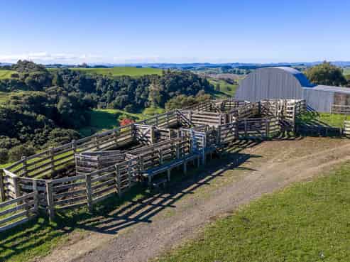 63 Sharpe Road, Pukekawa