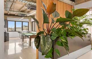 Secure One or Two Full CBD Office Floors