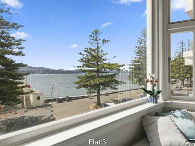 3/246 Oriental Parade, Oriental Bay