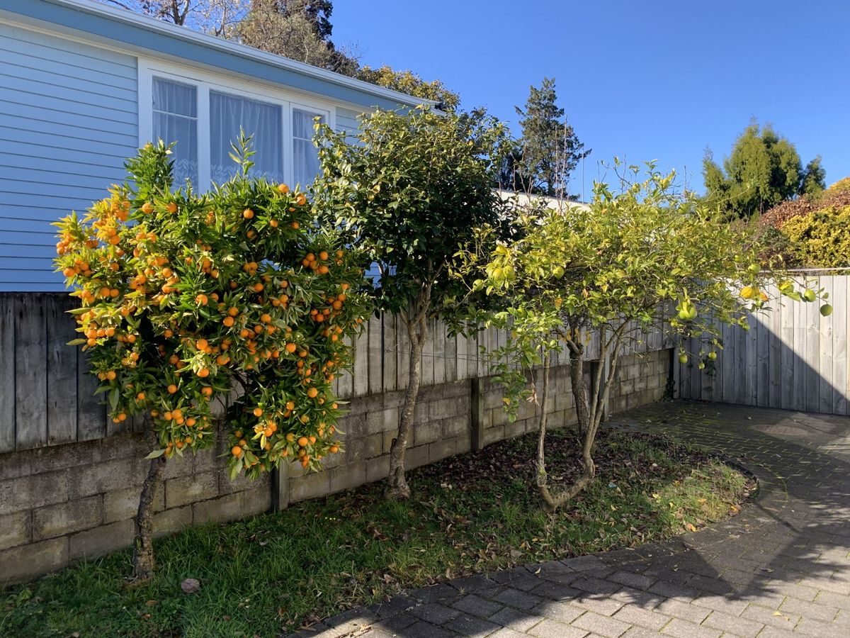 Spacious & Freshly Updated Family Home - Més