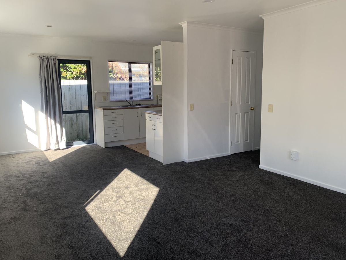 Spacious & Freshly Updated Family Home - Vista 3