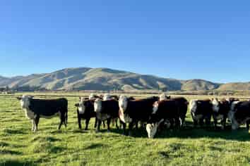 840 Ardlussa Cattleflat Road, Ardlussa