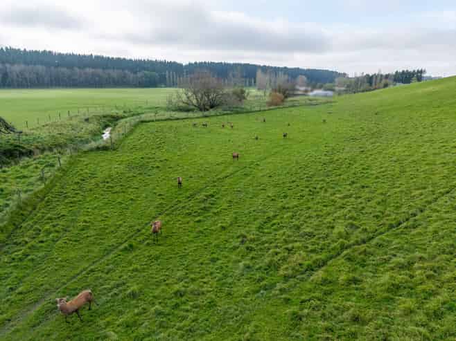 574 Rosewill Valley Road, Levels Valley