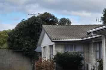 5/15 Larch Street, Rotorua Central