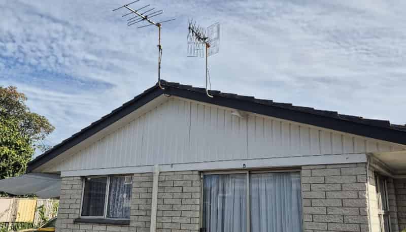 5/15 Larch Street, Rotorua Central