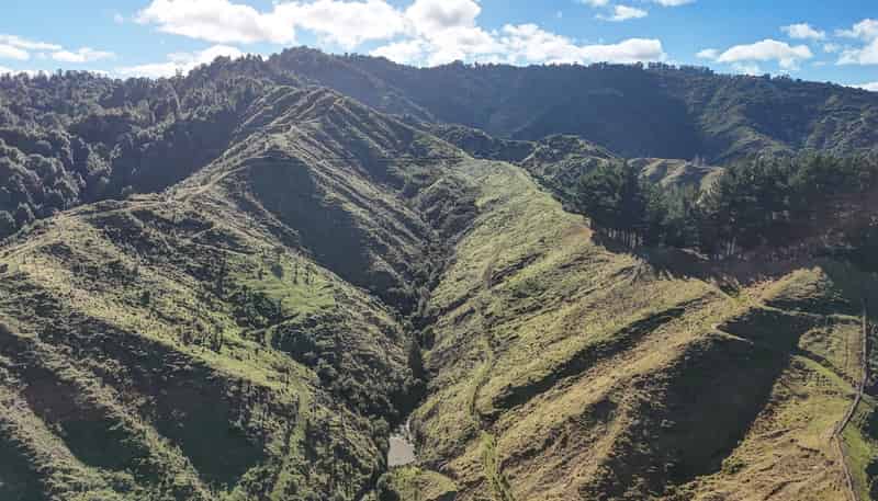 331 Ahu Ahu Valley Road, Paparangi