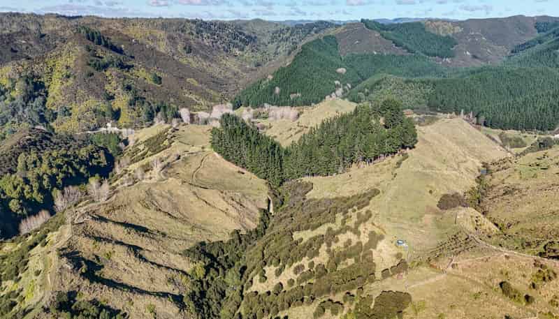 331 Ahu Ahu Valley Road, Paparangi
