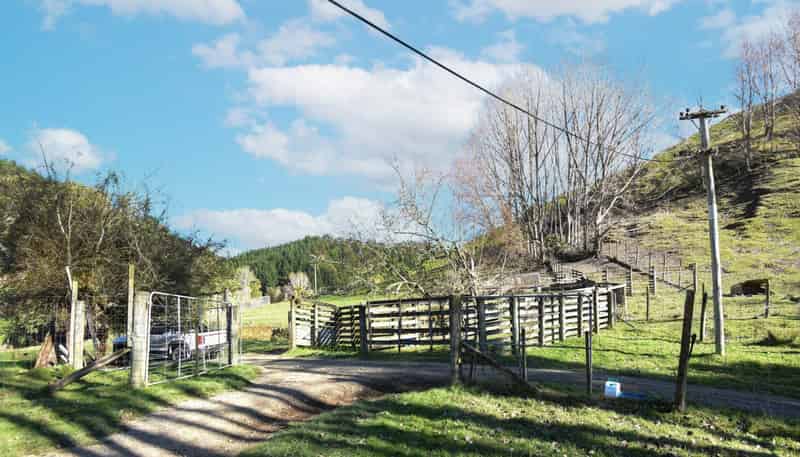 331 Ahu Ahu Valley Road, Paparangi