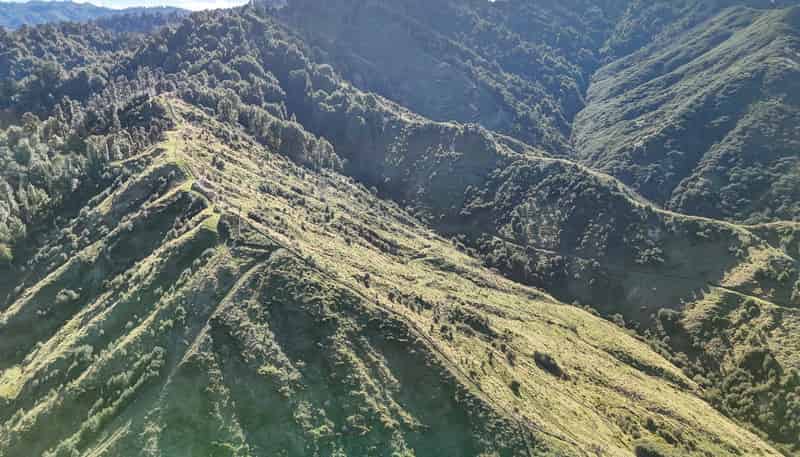 331 Ahu Ahu Valley Road, Paparangi
