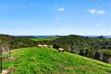 115 Sonja Drive, Hunua