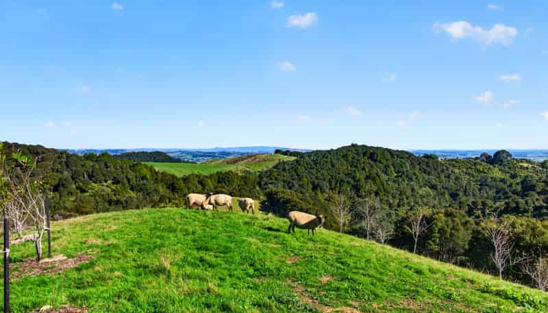 115 Sonja Drive, Hunua