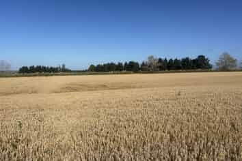 Lot 1, Adair Road, Fairview