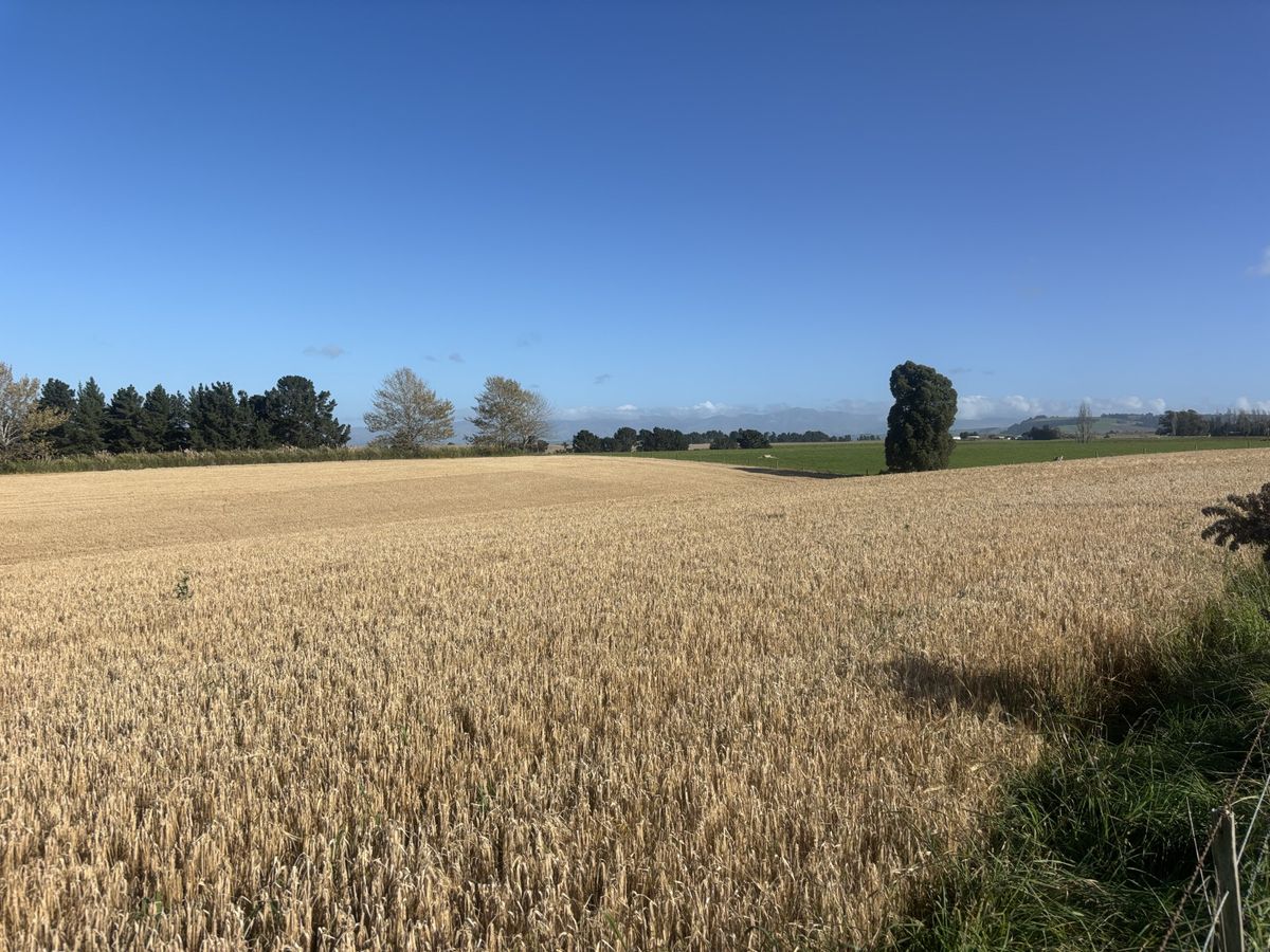 Lot 1 Adair Road - Ansicht 4