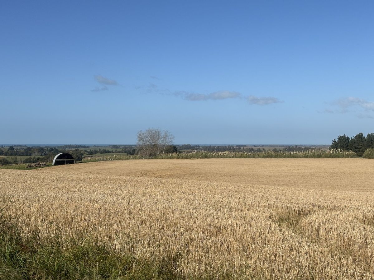 Lot 1 Adair Road - Ansicht 3