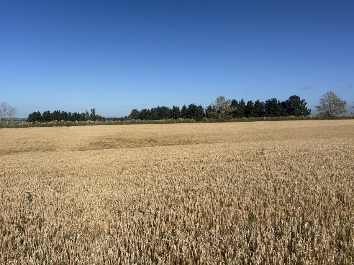 Lot 2 Adair Road - Widok 2