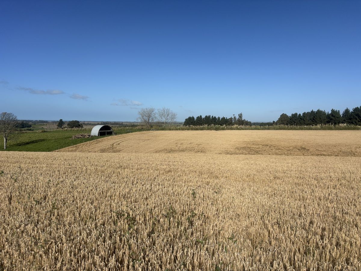 Lot 2 Adair Road, Fairview