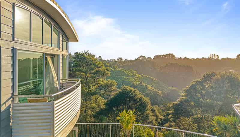 39 Albany Heights Road, Albany Heights