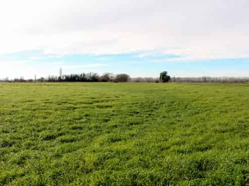  Totara Valley Road, Pleasant Point