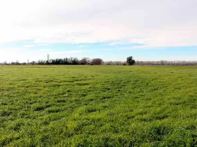  Totara Valley Road, Pleasant Point